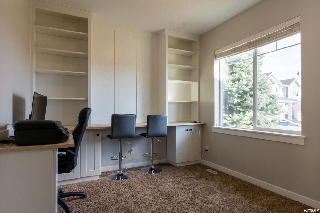 Carpeted home office featuring a wealth of natural light