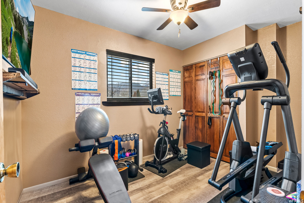Workout area featuring ceiling fan and wood-type flooring