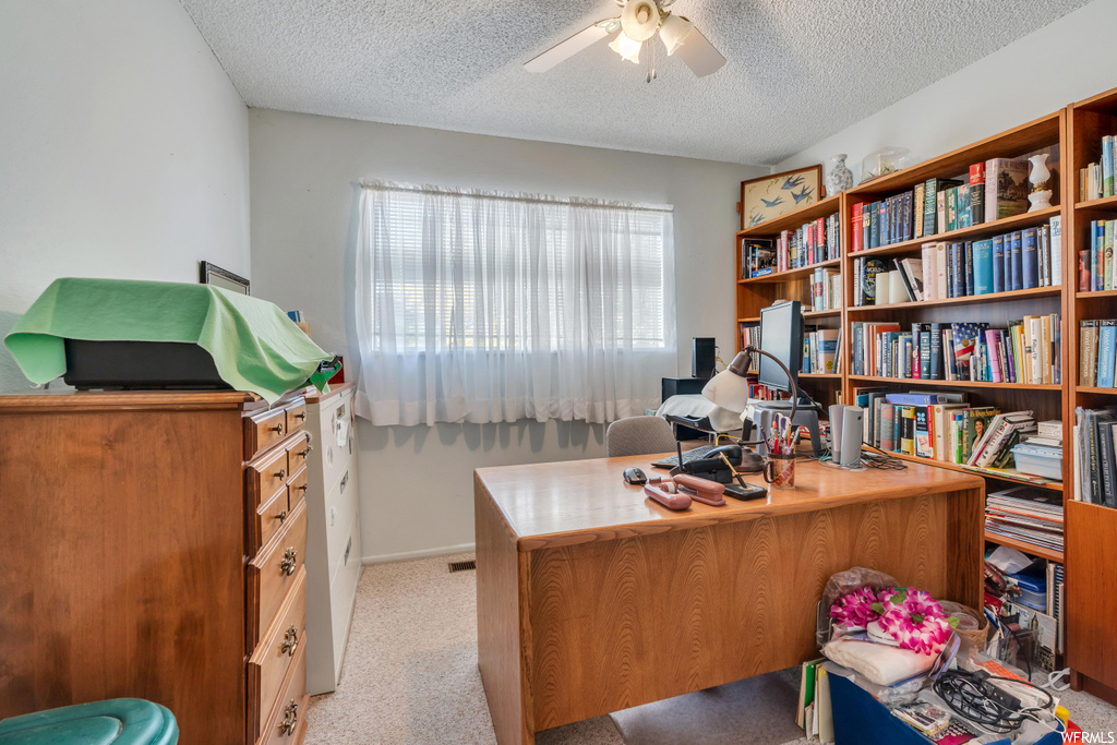 Carpeted office space featuring a healthy amount of sunlight, ceiling fan, and a textured ceiling