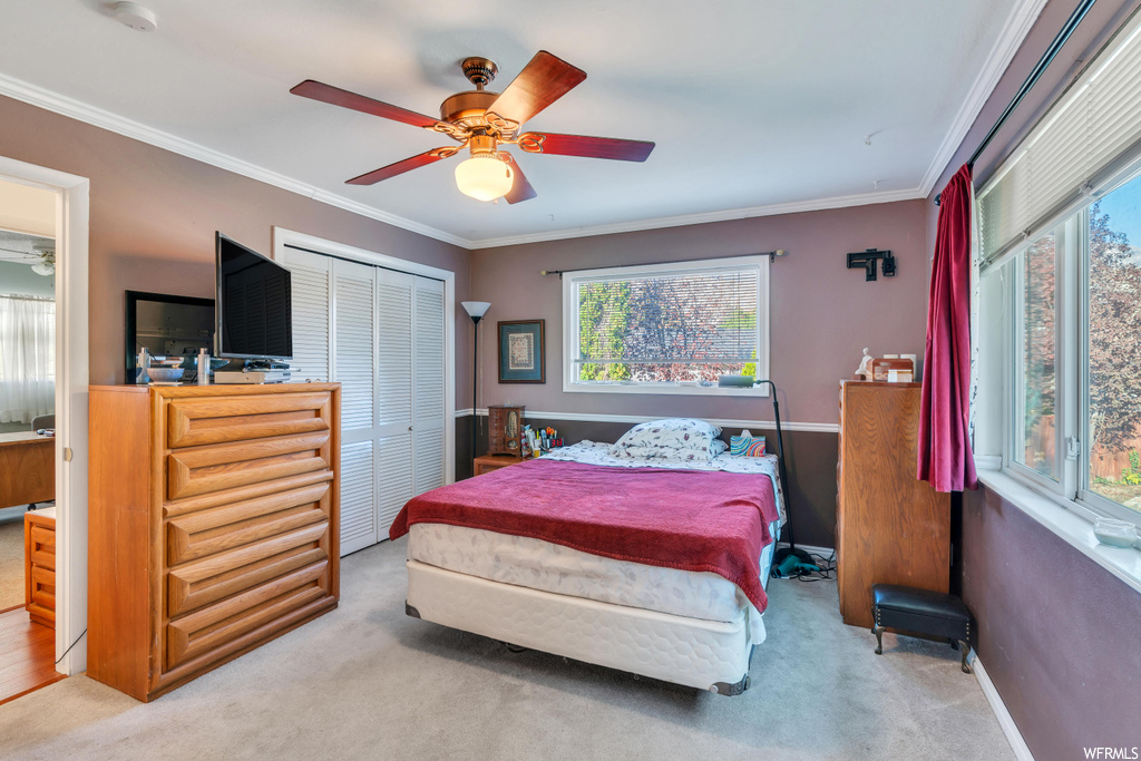 Bedroom with light colored carpet, ceiling fan, a closet, and crown molding