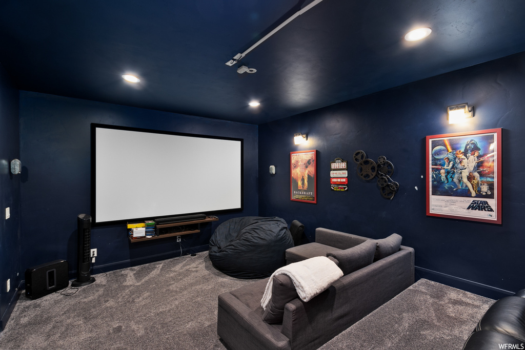 Cinema with carpet