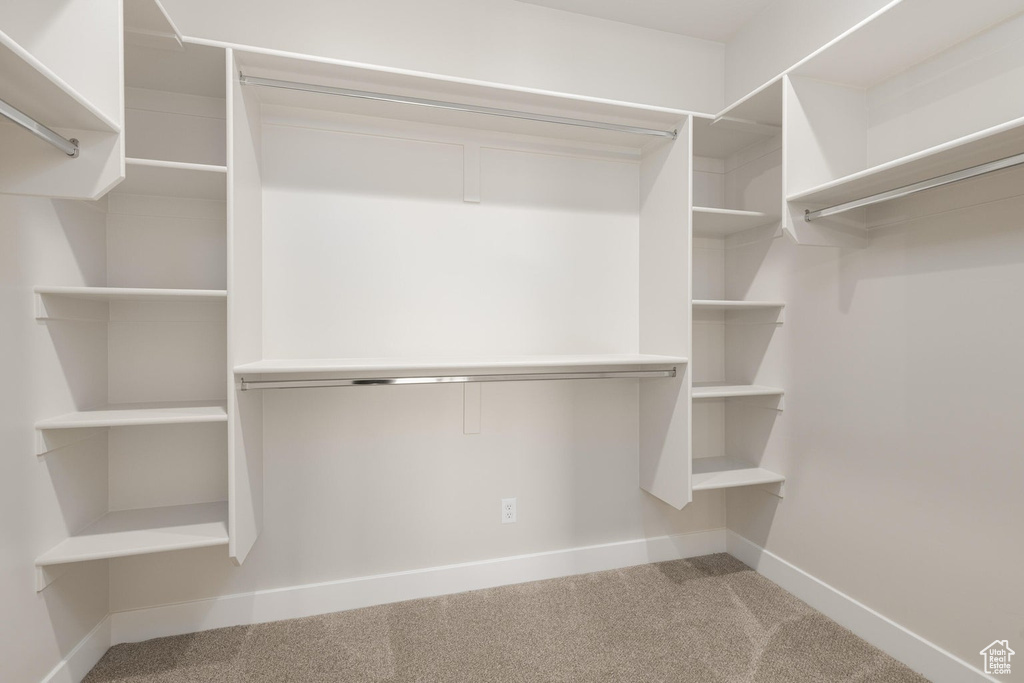 Walk in closet with carpet