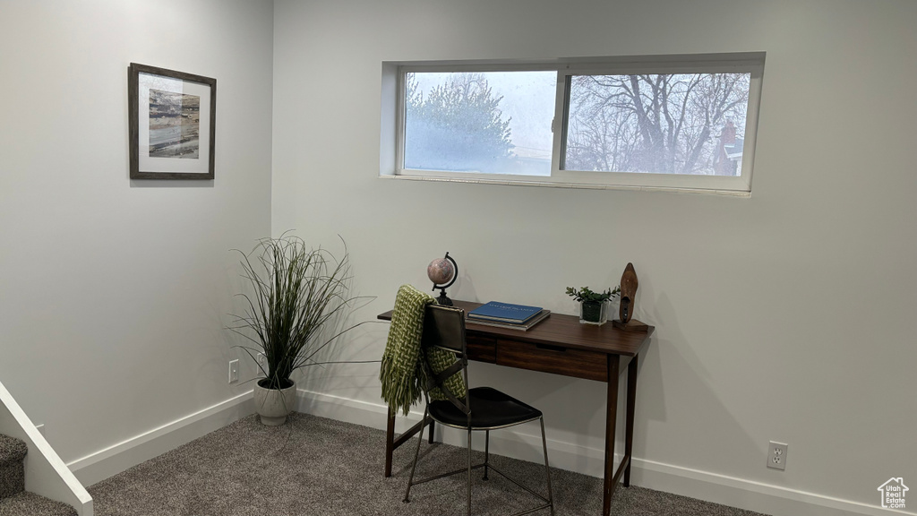 Carpeted office featuring plenty of natural light
