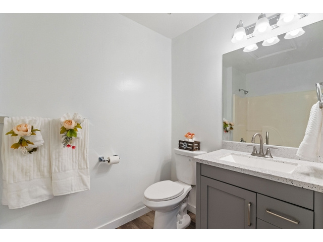 Bathroom with toilet, hardwood / wood-style floors, and oversized vanity