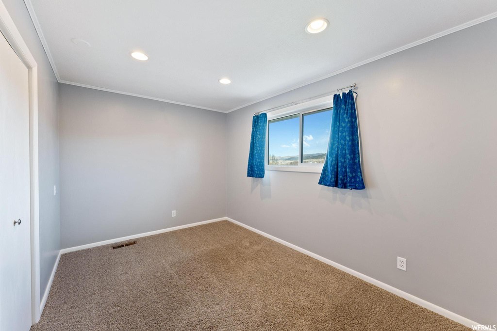 Spare room with ornamental molding and carpet