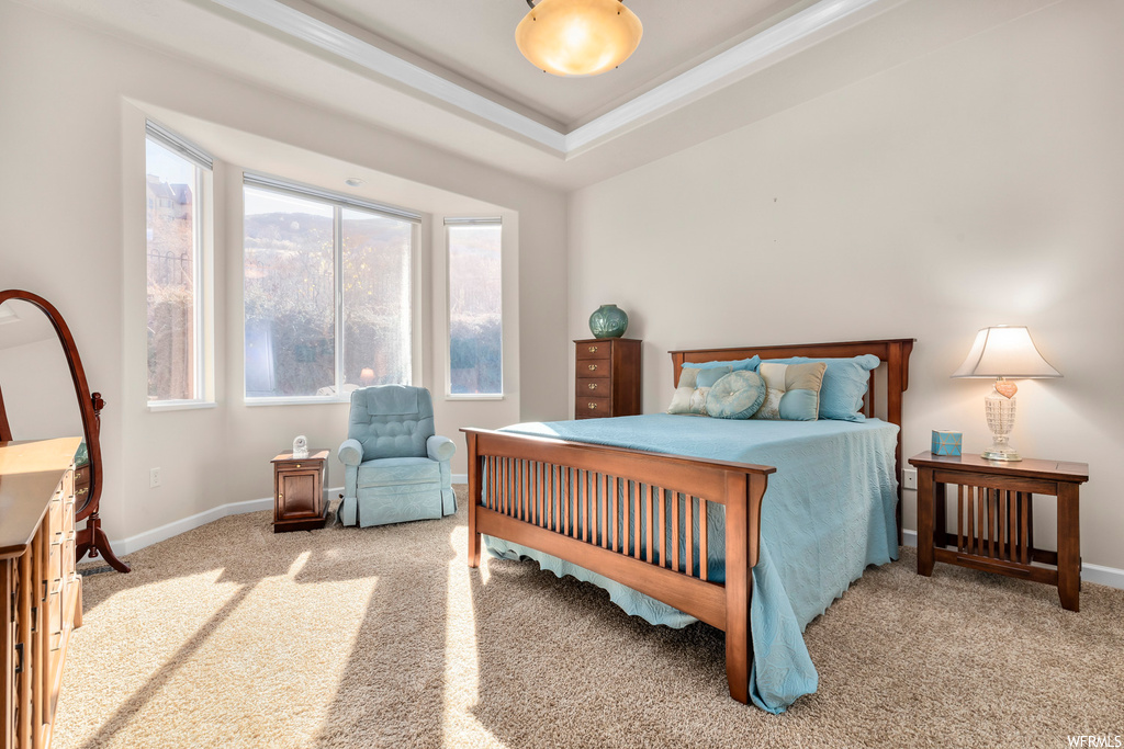 Bedroom featuring a tray ceiling, multiple windows, and light carpet