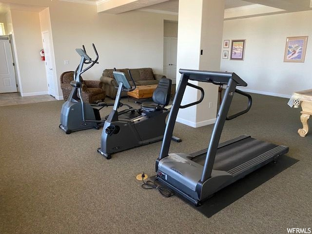 Gym with ornamental molding and carpet floors