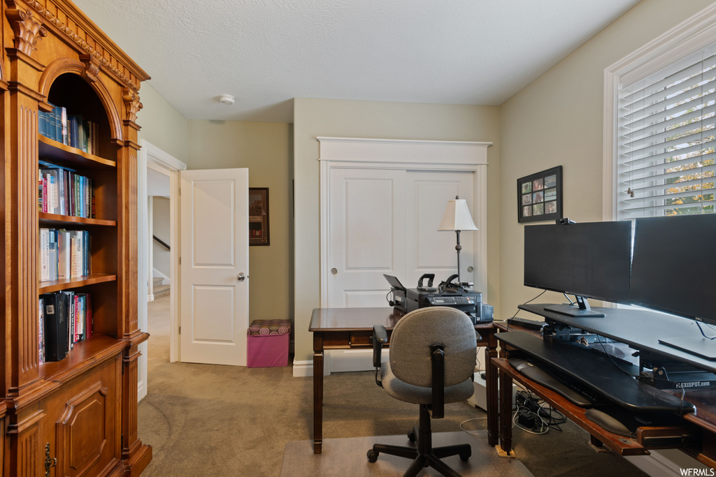 Home office featuring carpet