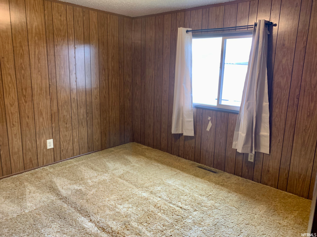 Empty room featuring wood walls and carpet floors