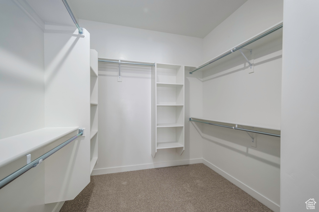 Walk in closet featuring carpet