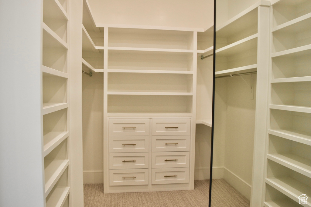 Spacious closet featuring light carpet