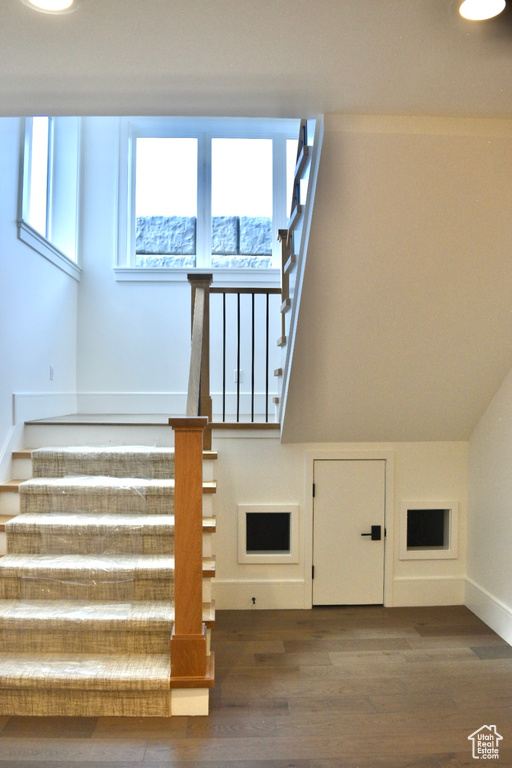 Staircase with dark hardwood / wood-style flooring