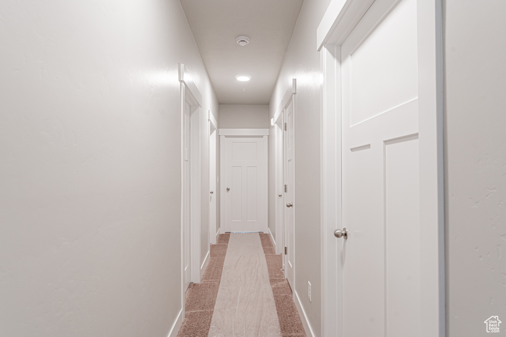 Hallway with carpet flooring