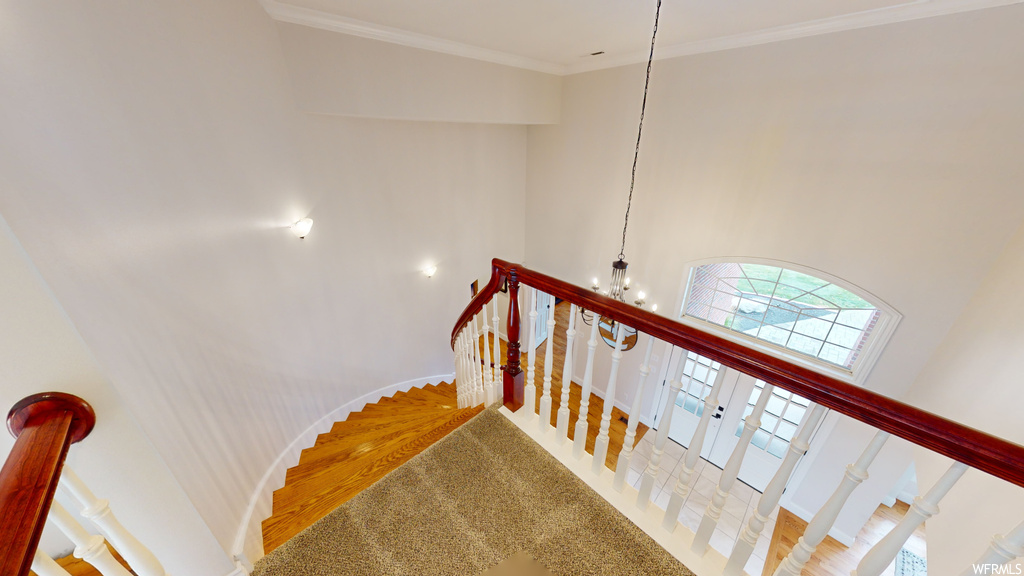 Stairs featuring a chandelier, ornamental molding, a high ceiling, and light hardwood / wood-style floors