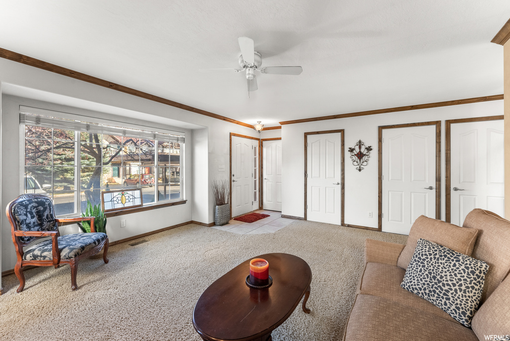 Carpeted living room with ceiling fan and crown molding