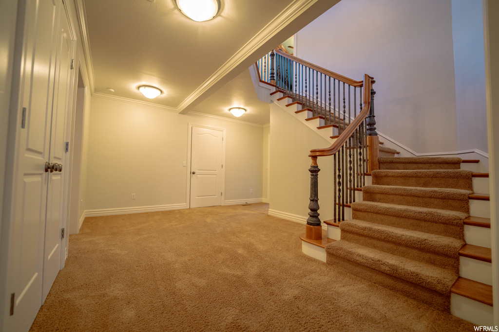 Interior space with light colored carpet and crown molding