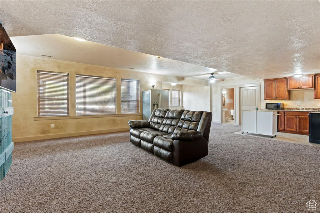 Carpeted living room featuring a textured ceiling and sink