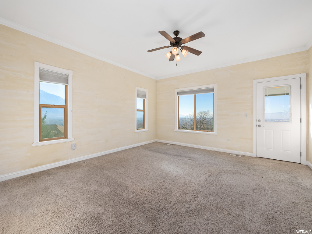 Carpeted empty room featuring ceiling fan and crown molding
