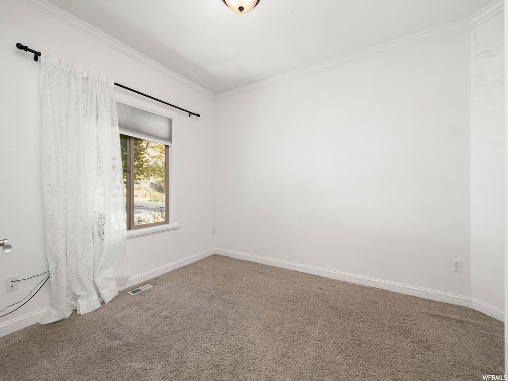 Carpeted spare room with crown molding