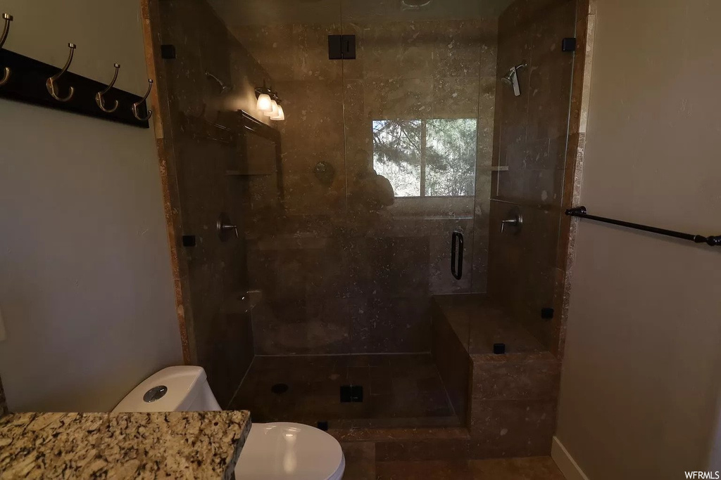 Bathroom with toilet, a shower with door, and vanity