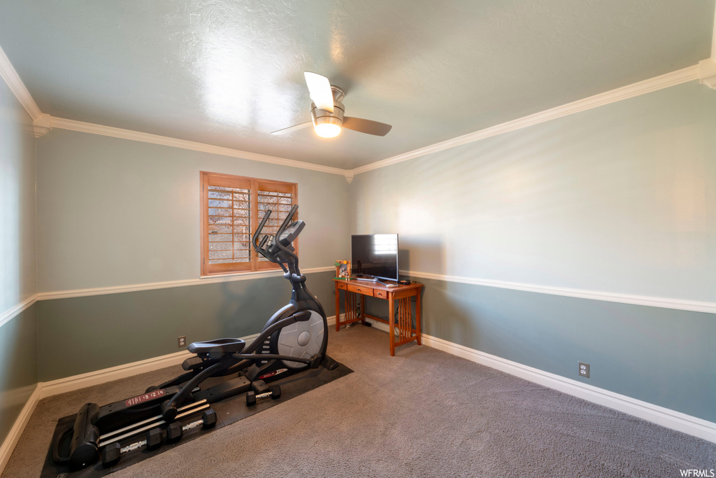 Exercise area featuring ceiling fan, carpet, and crown molding