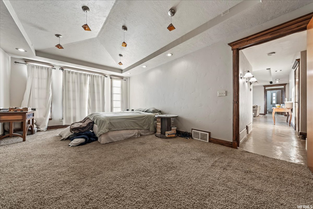 Carpeted bedroom with a textured ceiling and a raised ceiling