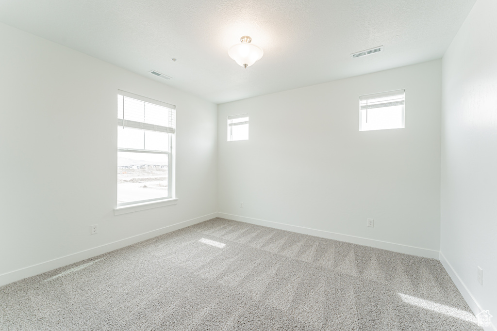 Spare room featuring a healthy amount of sunlight and light colored carpet