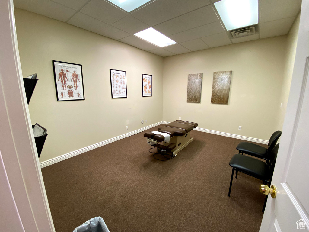 Interior space with dark colored carpet and a drop ceiling
