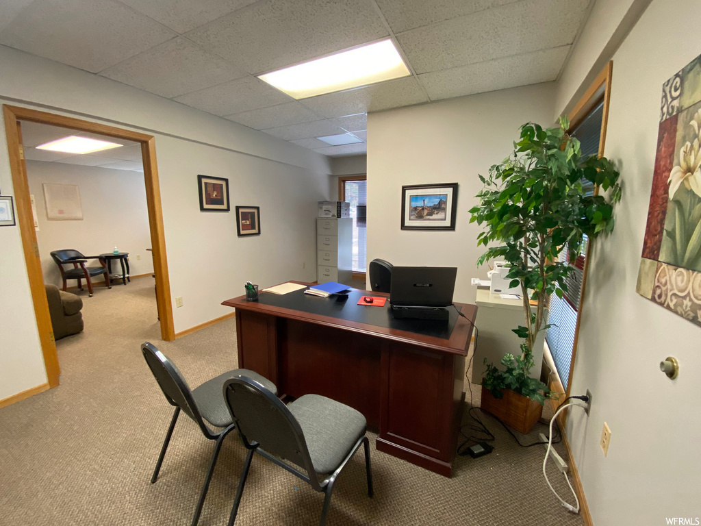 Carpeted office space featuring a paneled ceiling