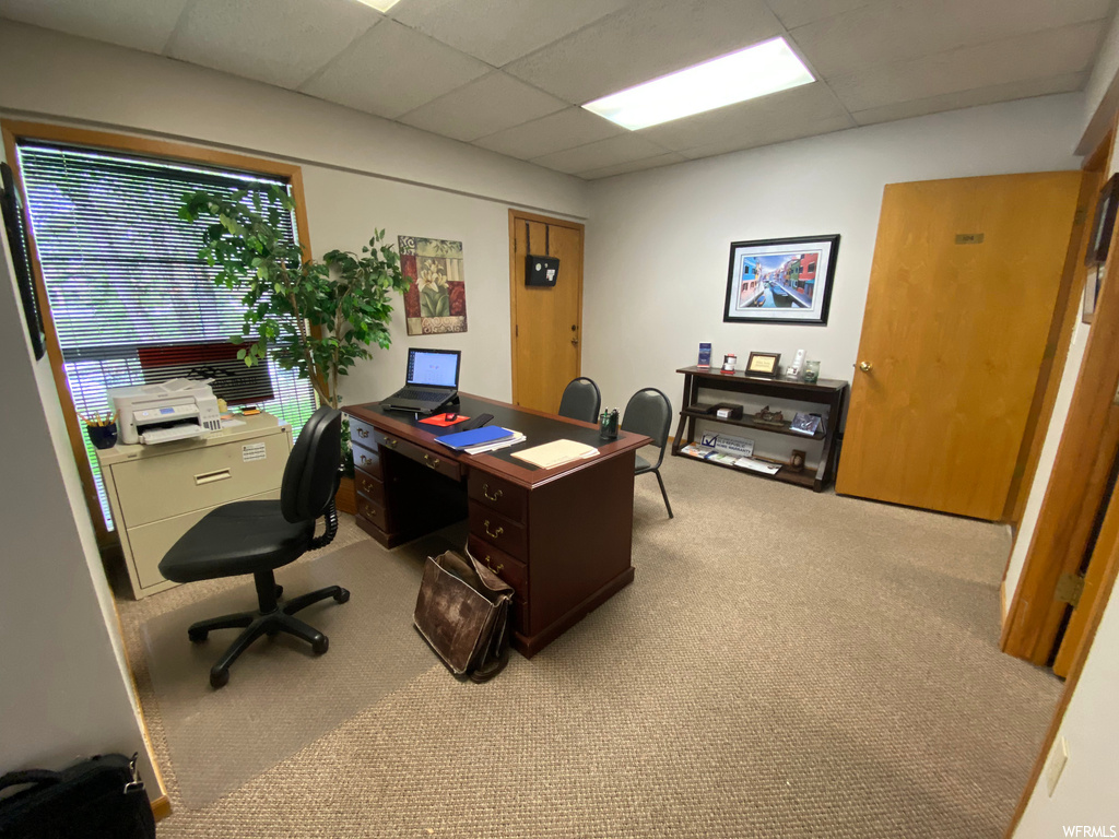 Carpeted office with a paneled ceiling