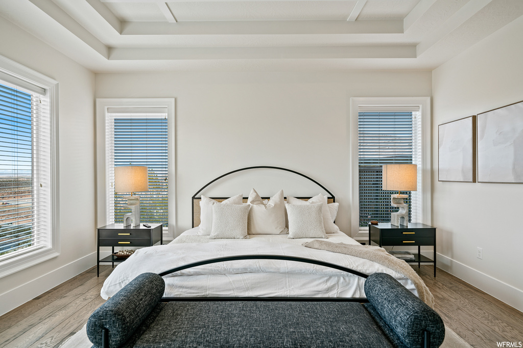 Bedroom featuring multiple windows, a raised ceiling, and light hardwood / wood-style floors