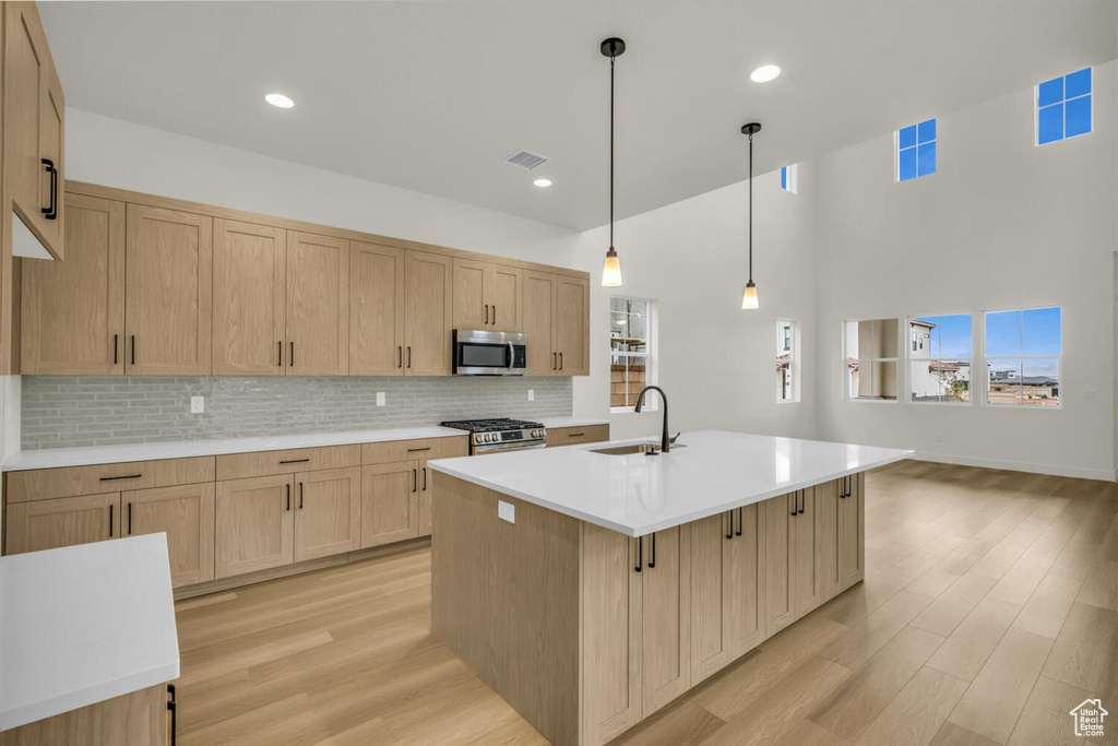 Kitchen featuring backsplash, appliances with stainless steel finishes, light hardwood / wood-style floors, sink, and a center island with sink