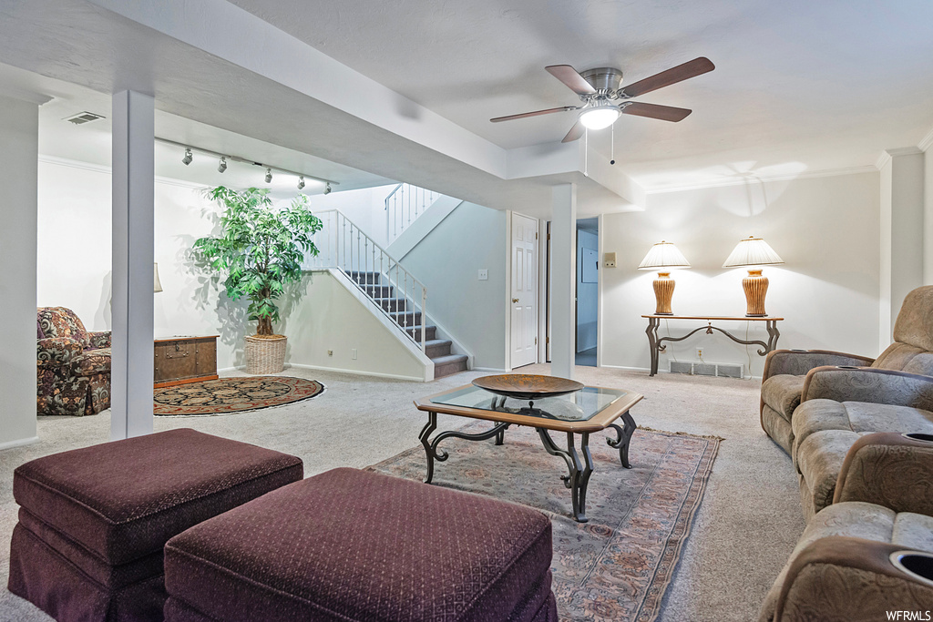 Carpeted living room featuring ceiling fan and rail lighting