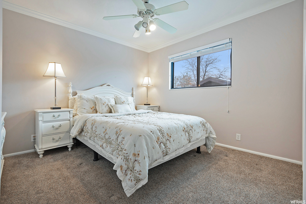 Bedroom featuring dark colored carpet, ceiling fan, and crown molding