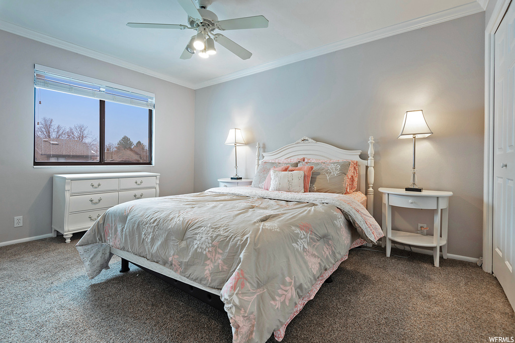 Carpeted bedroom featuring ceiling fan, ornamental molding, and a closet