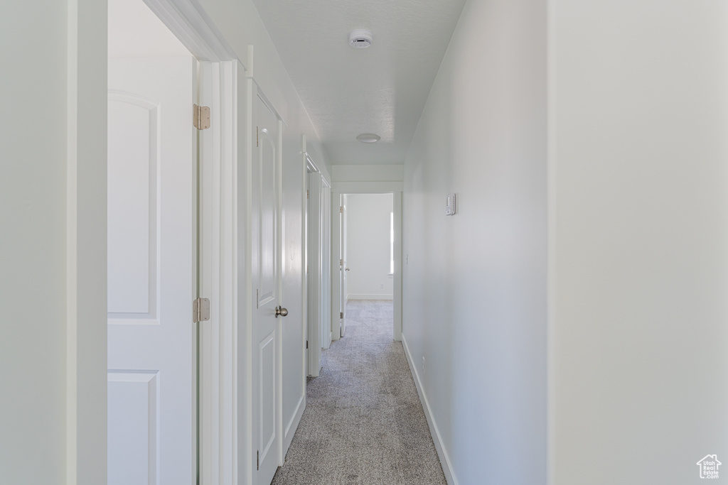 Hall featuring light colored carpet