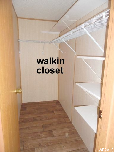 Walk in closet with light hardwood / wood-style floors