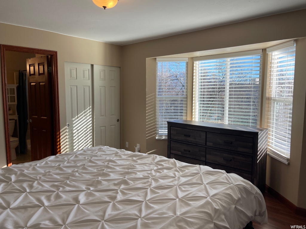 Bedroom with dark hardwood / wood-style floors and a closet