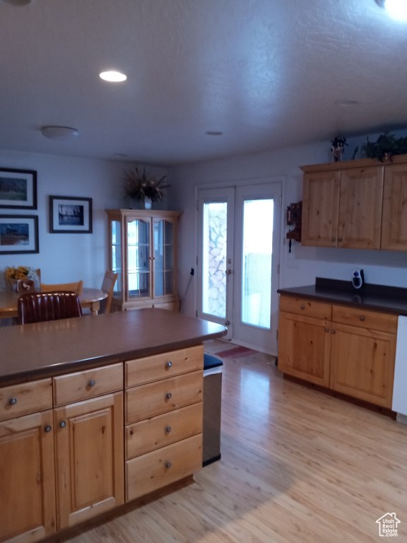 Kitchen with light hardwood / wood-style flooring