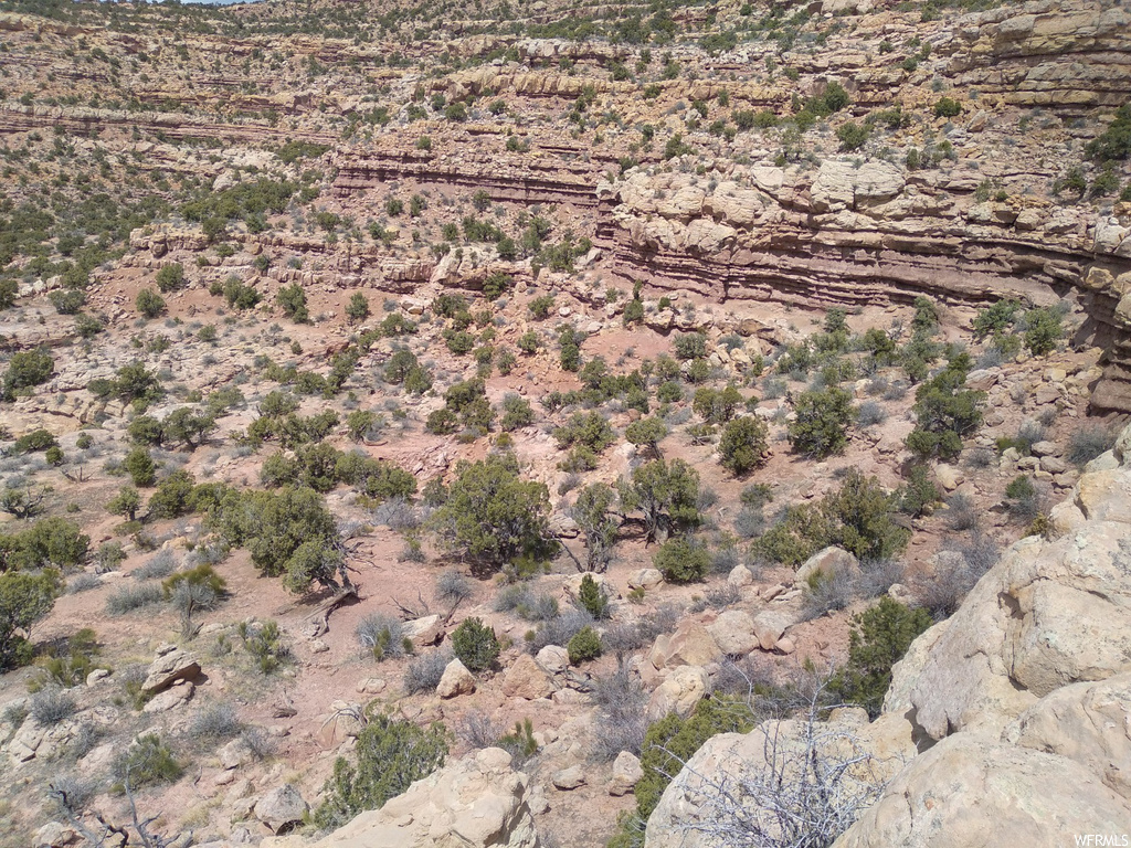 View of drone / aerial view