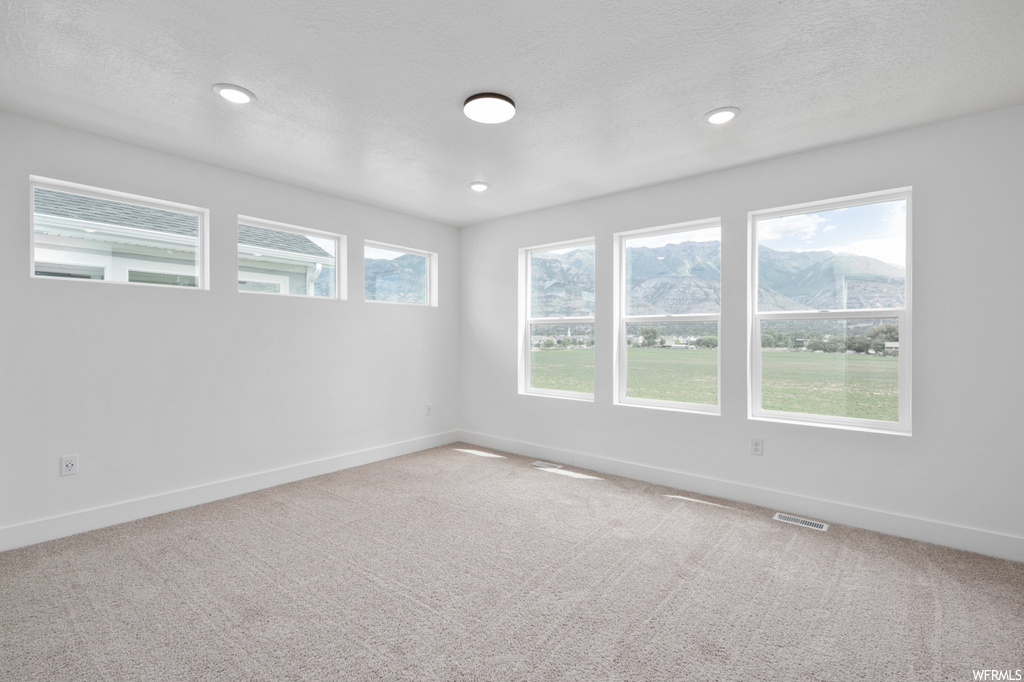 Unfurnished room with a healthy amount of sunlight, light colored carpet, and a mountain view