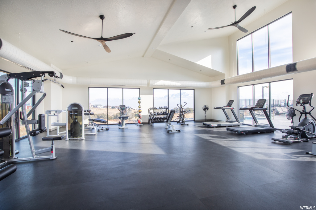 Exercise room featuring ceiling fan and high vaulted ceiling