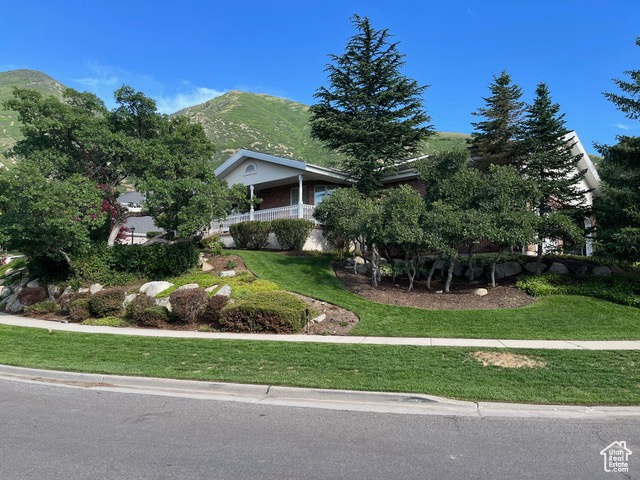 View of front of property featuring a front yard and a mountain view
