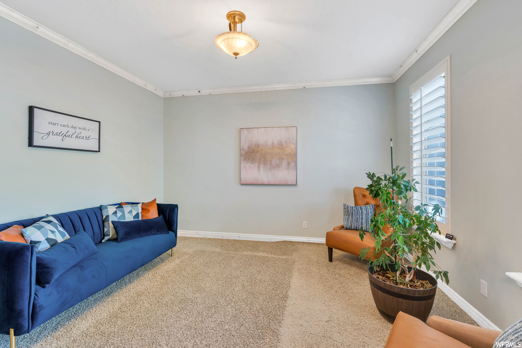 Living room with ornamental molding and light carpet