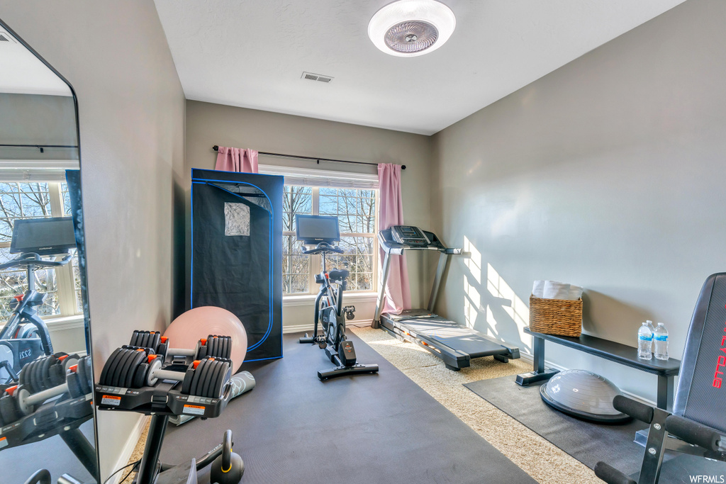 Workout room with a healthy amount of sunlight