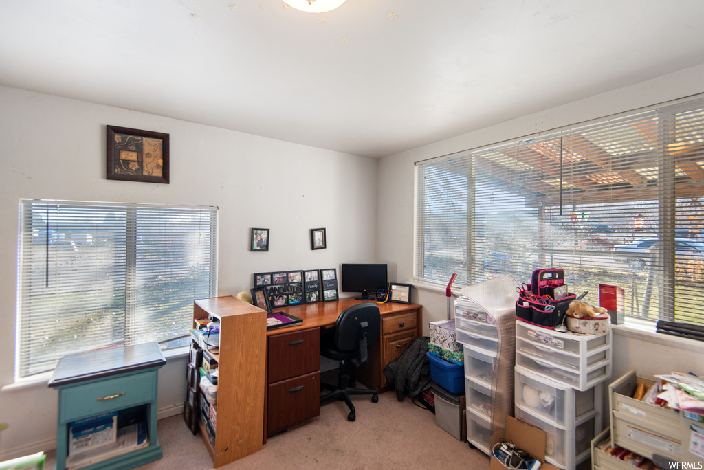 Carpeted home office featuring a healthy amount of sunlight