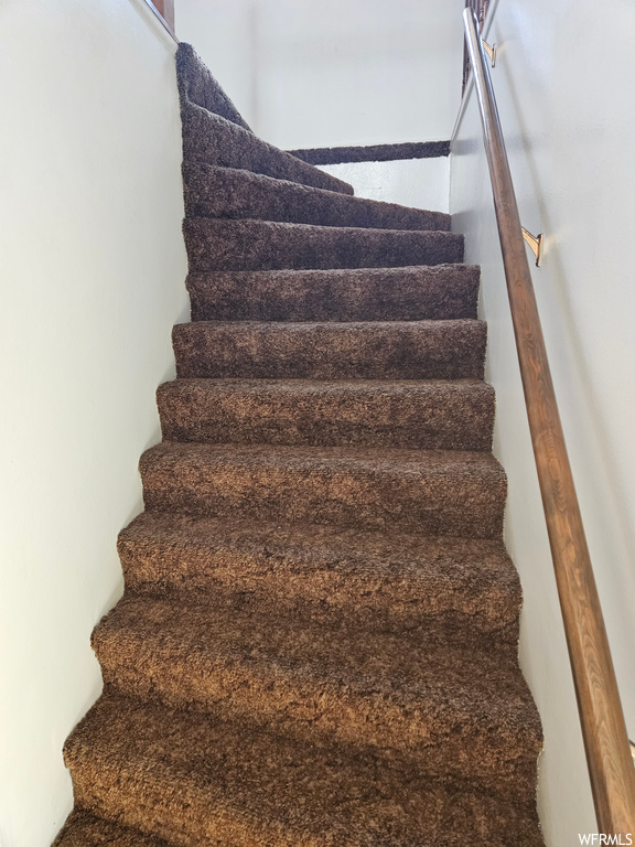 Staircase featuring carpet flooring
