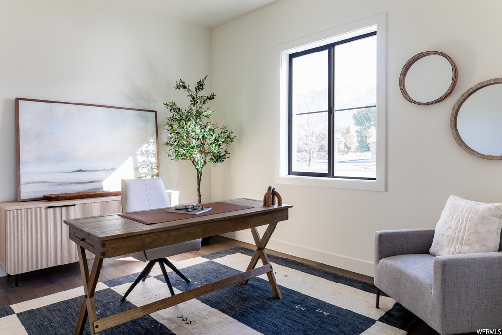 Office area featuring hardwood / wood-style floors