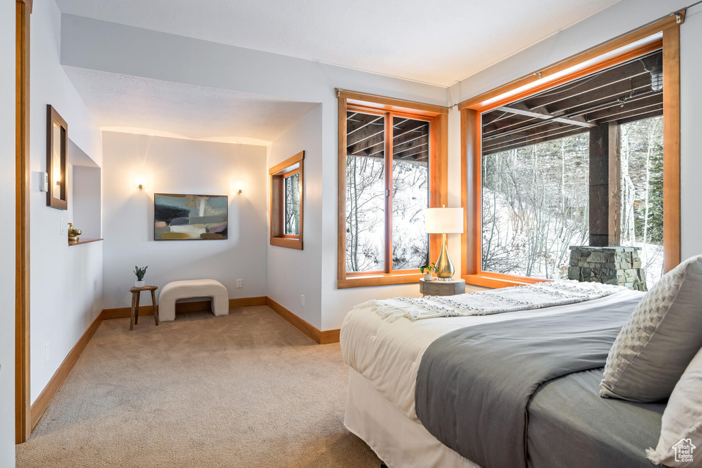 Carpeted bedroom with multiple windows