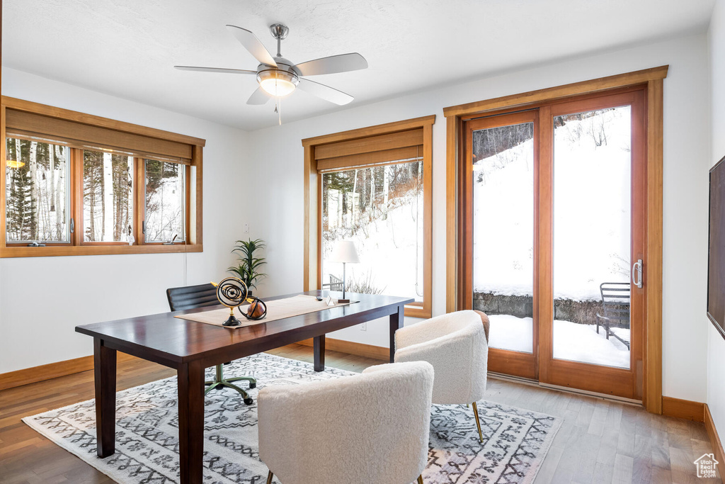 Home office with a wealth of natural light, wood-type flooring, and ceiling fan